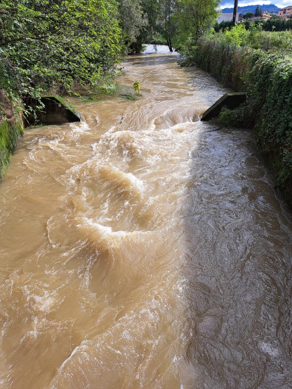 Bevera_in_piena_vasca_inerti_2024.10.10.jpg (197 KB)