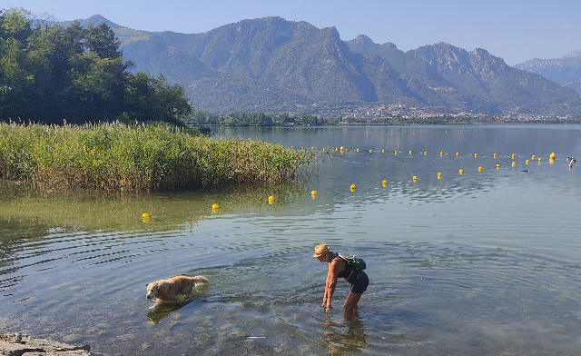 Lago di Annone: dopo tanti interventi serve fare ''il punto''