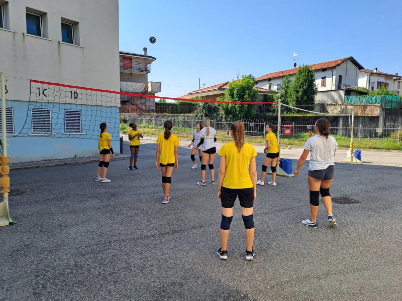 moltenocampvolley__4_.jpeg (160 KB)