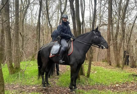 carabiniericavallopr.jpg (41 KB)