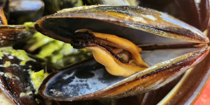 cozzepr.jpg (189 KB)