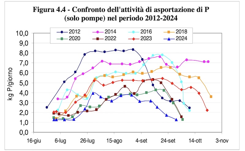 Annone_lago5.jpg (120 KB)