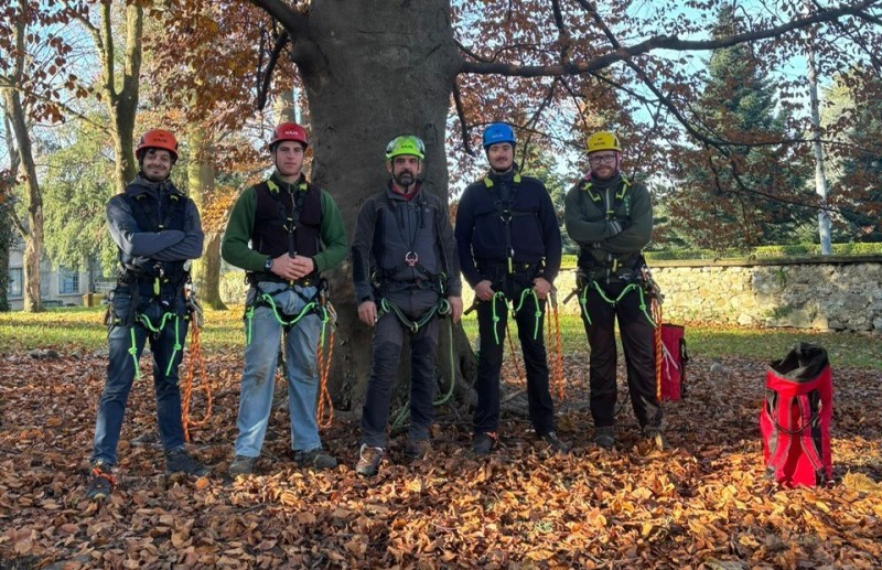 tree_climbing.jpg (179 KB)