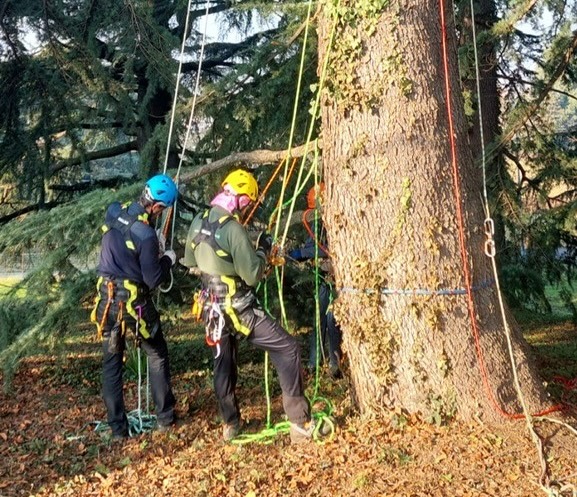 tree_climbing_1.jpg (161 KB)