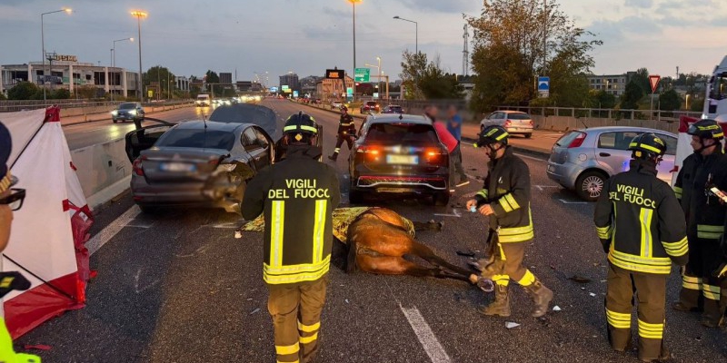 ss36monza__pr.jpeg (237 KB)