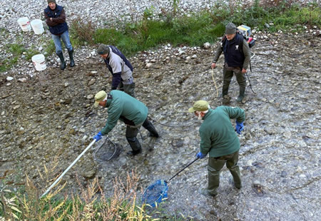 fipsas2025prima.jpg (77 KB)