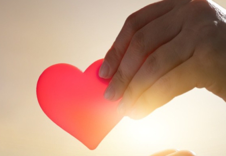 donoorganipr.jpg (53 KB)