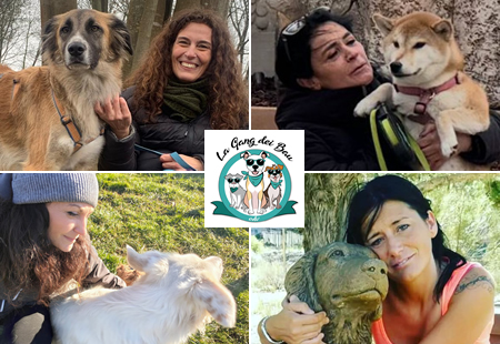 gangbauprima.jpg (145 KB)