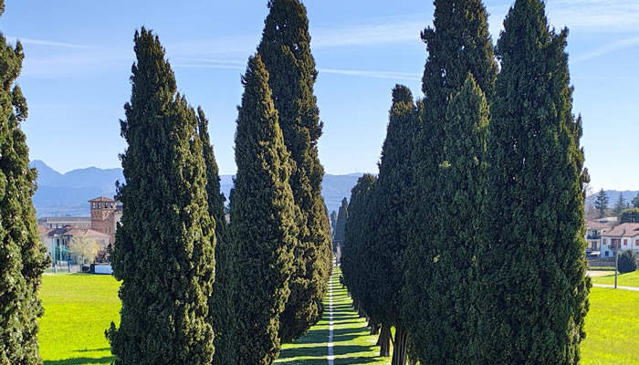I Cipressi di Inverigo (Como)