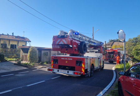 nibionnovf__pr.jpeg (93 KB)