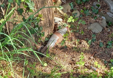 rogenoresiduoprima.jpg (160 KB)