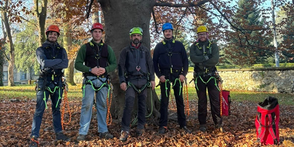 tree_climbing_prima.jpg (101 KB)